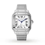 Cartier Santos de Cartier Men Automatic Silver Stainless Steel Watch WSSA0029 Watches for sales | RepTime