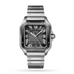 Cartier Santos de Cartier Men Automatic Grey Stainless Steel Watch WSSA0037 Watches for sales | RepTime